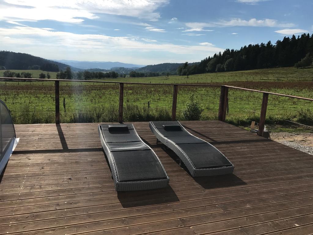Vila Pasecna - Lipno Пршедни Вытонь Экстерьер фото